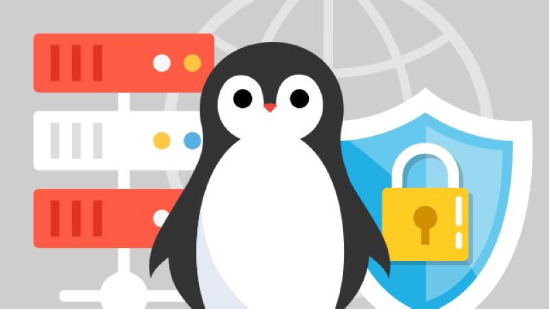 Lợi ích không thể bỏ qua của VPS Linux