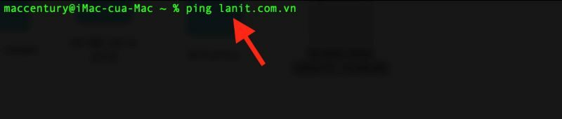 Nhập ping, sau đó nhấn phím space rồi nhập địa chỉ trang web bạn muốn check