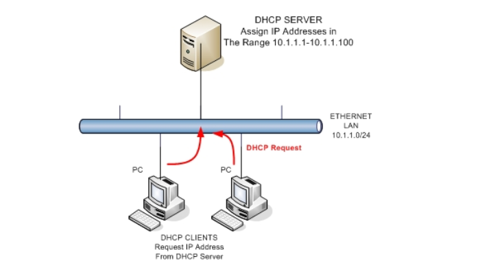 DHCP được hoạt động như thế nào?