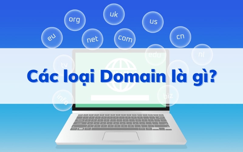 Các loại domain là gì?