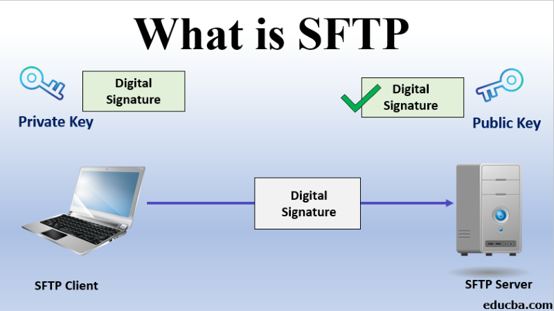 Hướng dẫn chi tiết cách kết nối với SFTP