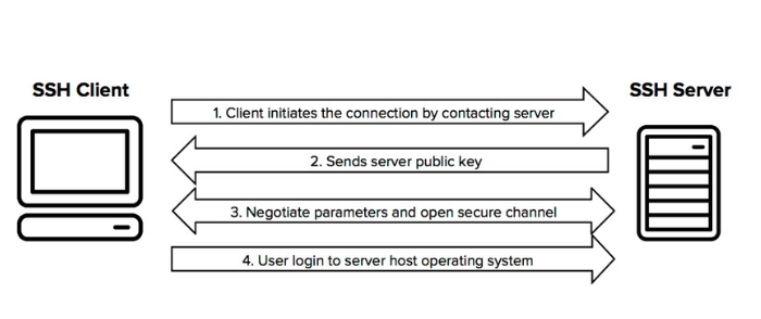 Các bản phân phối của SSH