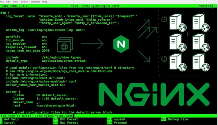 NGINX là gì?