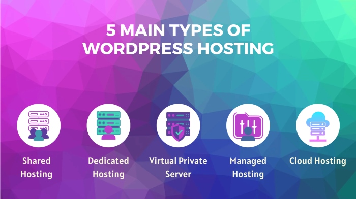 Các loại WordPress Hosting phổ biến nhất hiện nay