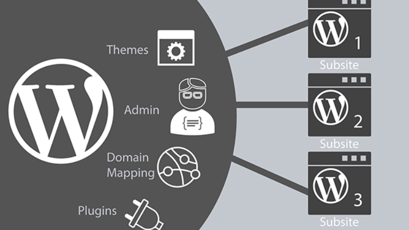 Những tính năng chính của WordPress Multisite là gì?