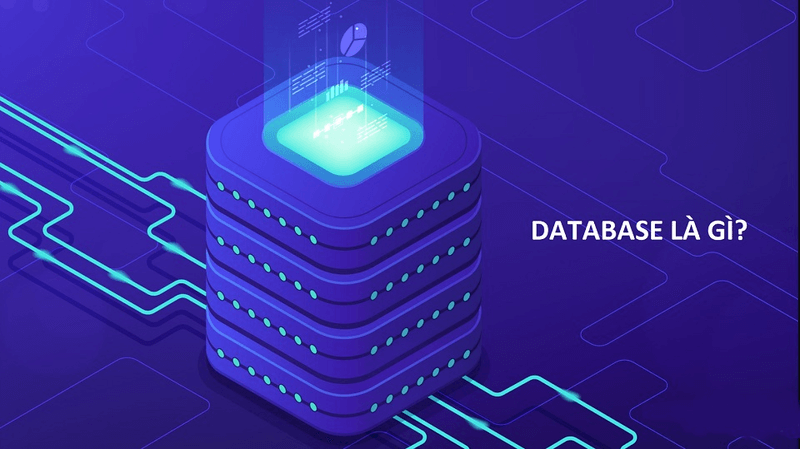 Database Server là máy chủ cơ sở dữ liệu