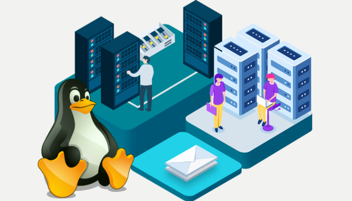 Có nên sử dụng Hosting Linux không?