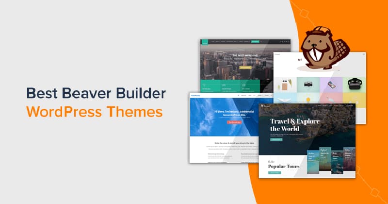 WP Beaver Builder được giới chuyên môn đánh giá cao