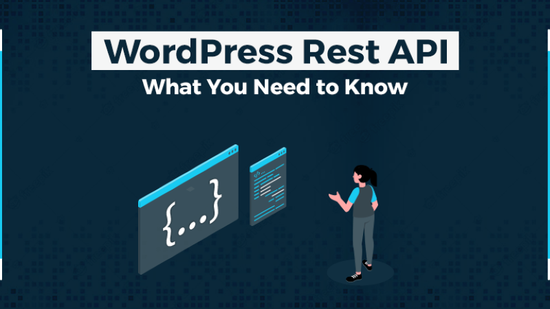 Sự phát triển của WordPress REST API