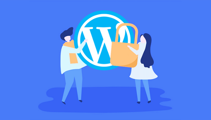 Bảo mật WordPress là gì?