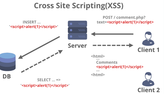 Cross-Site Scripting