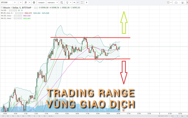 Trade Coin là gì?