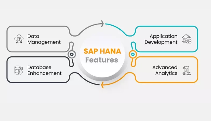 SAP HANA có tính năng gì đáng chú ý?