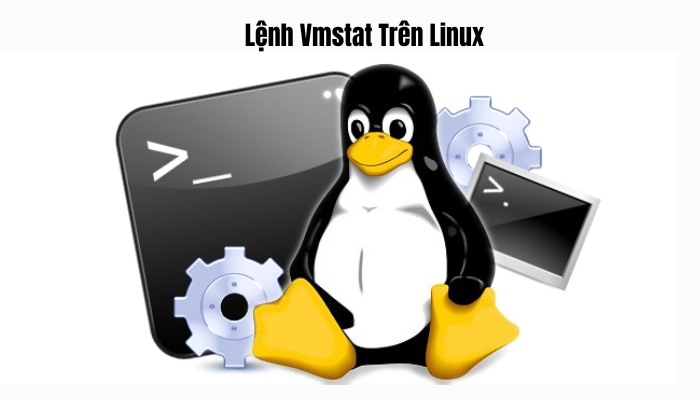 Lệnh Vmstat Trên Linux là gì?