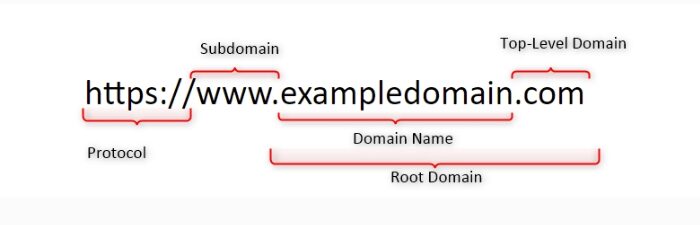 Root domain là gì?