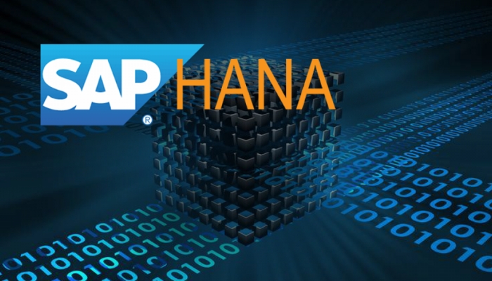 SAP HANA có tính năng gì nổi bật?